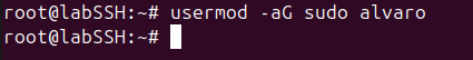 Añadir al grupo sudo