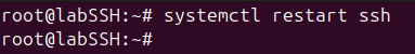 Reinicio del servicio SSH